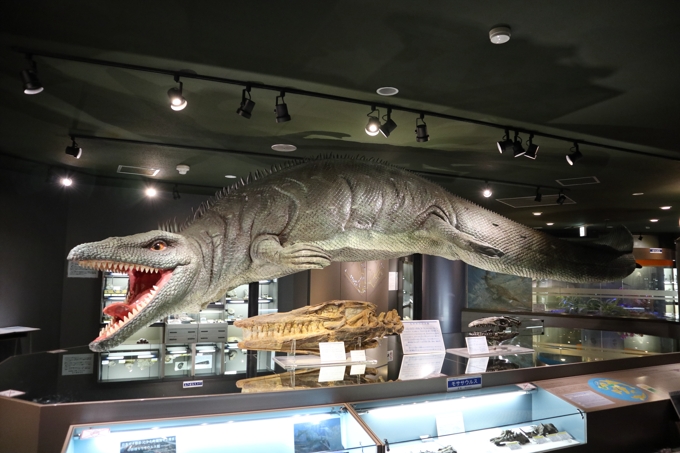 穂別博物館と穂別野外博物館