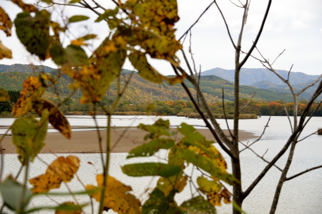 野花南ダム（北海道芦別市）