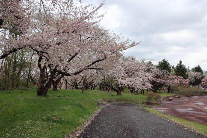 オニウシ公園・青葉丘公園