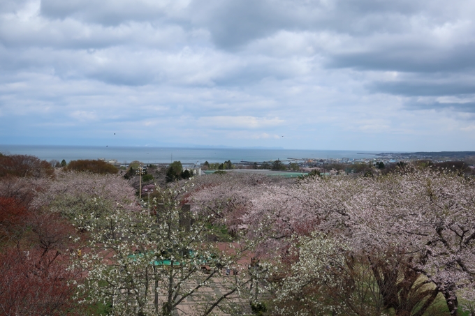 オニウシ公園・青葉丘公園