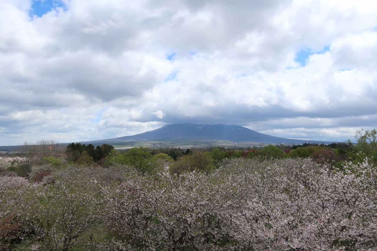 オニウシ公園・青葉丘公園