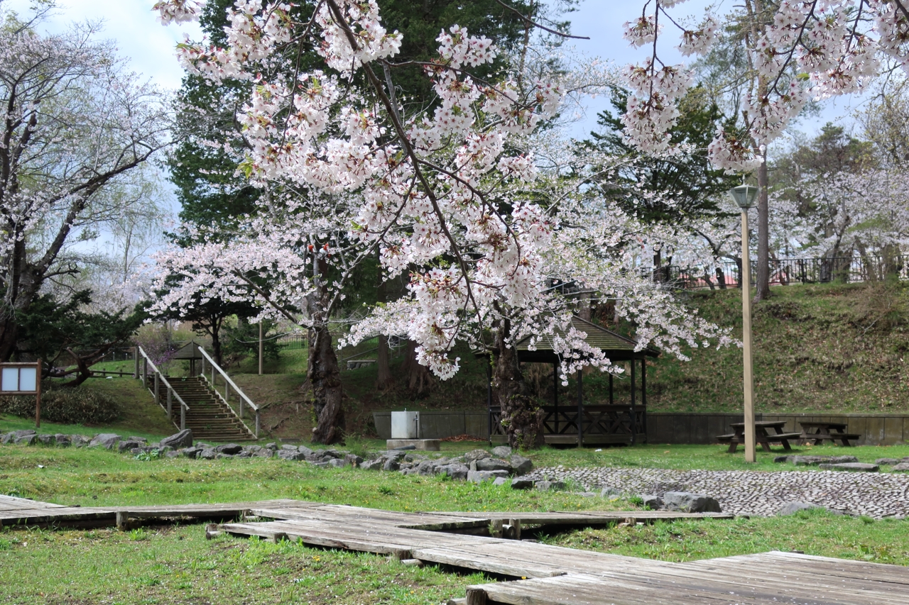 オニウシ公園・青葉丘公園