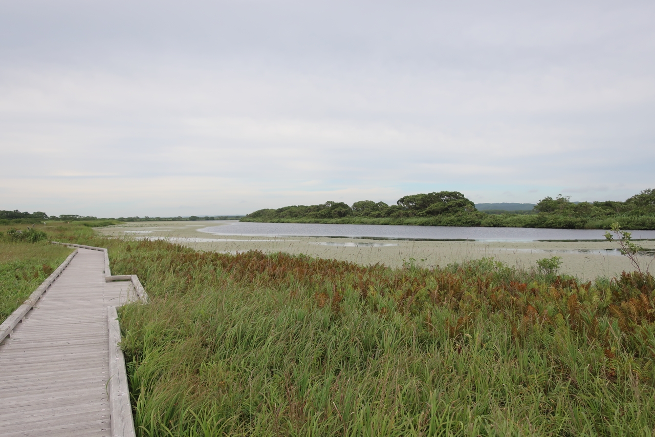 サロベツ湿原