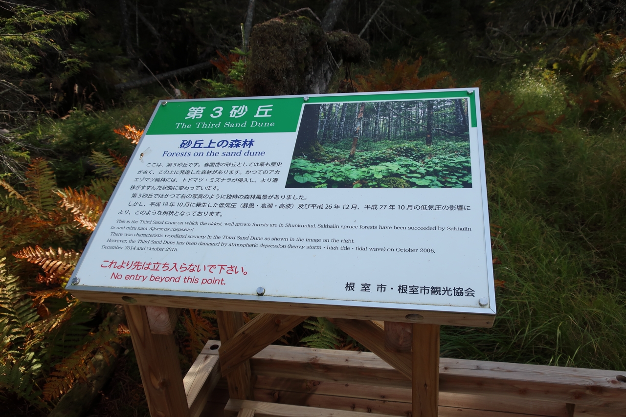 春国岱
