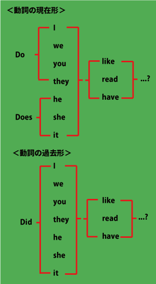 英語の否定文と疑問文 基礎からの英語学習