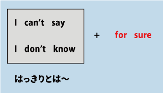 英語I can't say for sure, I don't know for sure（はっきりとは言えない、はっきりとはわからない）について